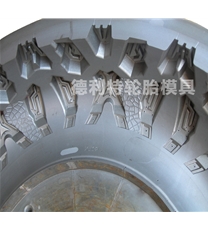 ATV沙地轮胎模具
